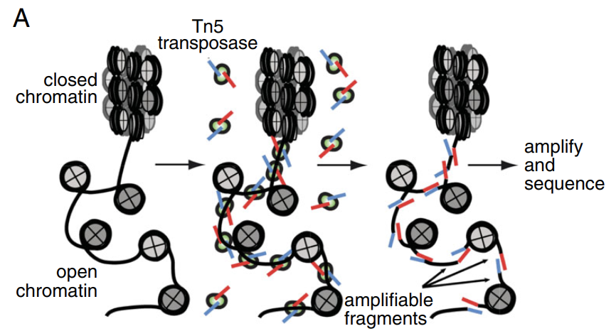 figure1