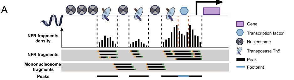 figure2